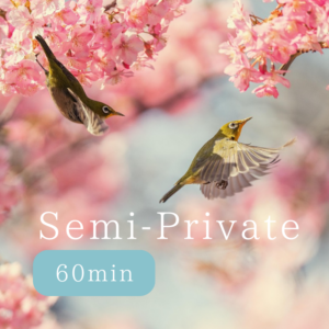 Semi-Private Lesson 60minutes for two students -Japanese-