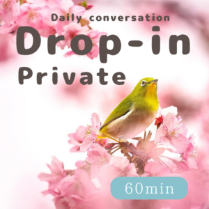 Drop-in Private Japansese Lesson（60 minutes）for Daily conversation