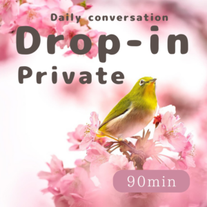 Drop-in Private Japansese Lesson（90 minutes）for Daily conversation