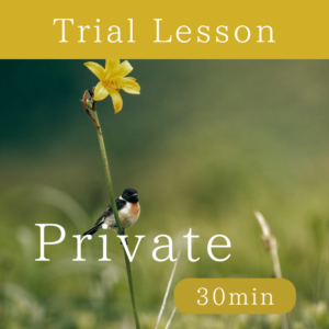 Trial Lesson 30minutes -Japanese Lesson-