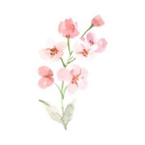 Extra Session_QIAP Counseling